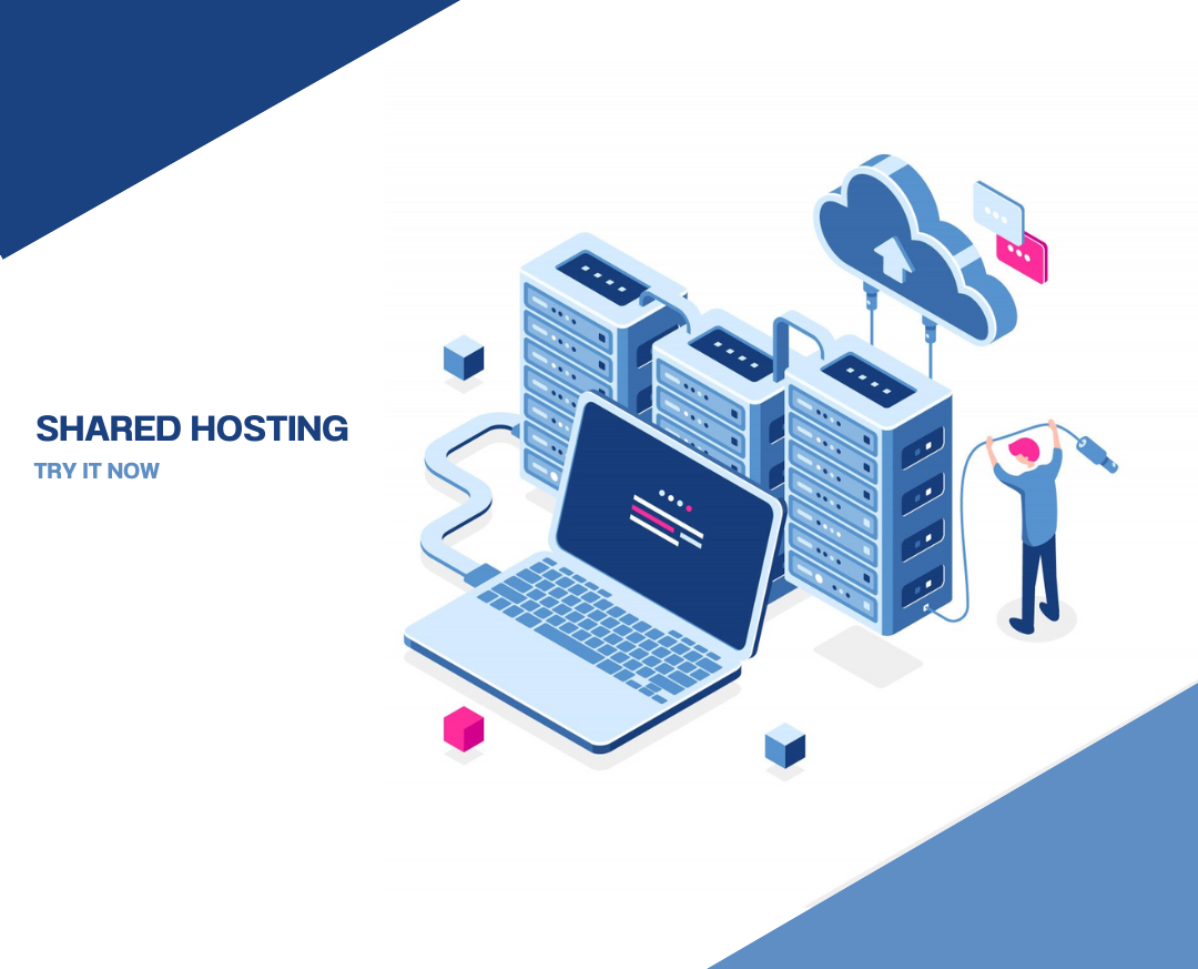 project_250402030201_basic-shared-hosting.png